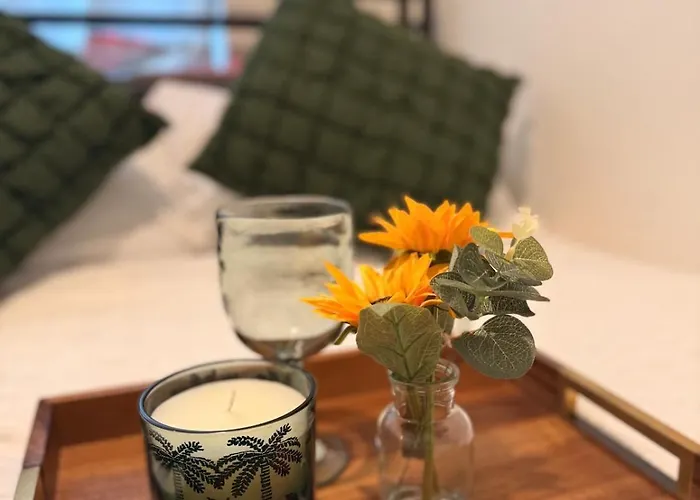 Flat In Manchester - Dudleys Dove